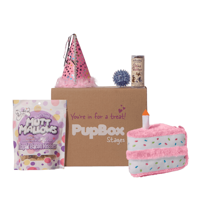 Picture of Birthday Girl Box - L/XL