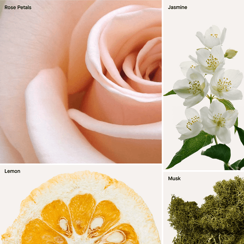 Reed Diffuser