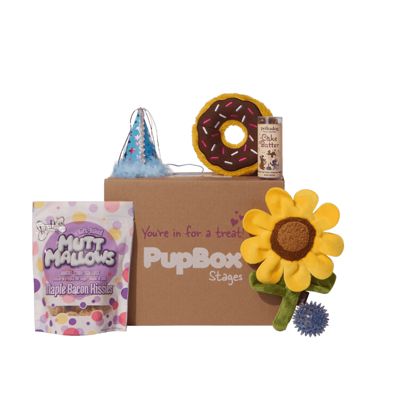 Birthday Boy Box - S/M