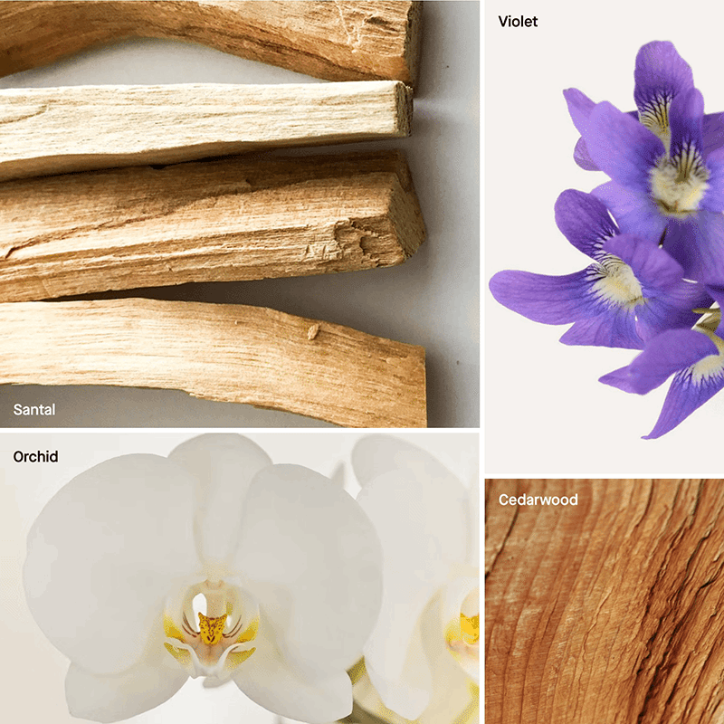 Hand Lotion - Grapefruit