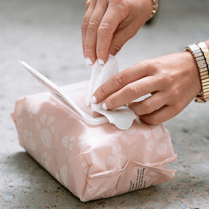 Cleansing Wipes Pouch 120ct - Oatmeal and Vitamin E