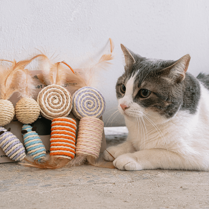 Cat 8-Piece Sisal and Feather Set