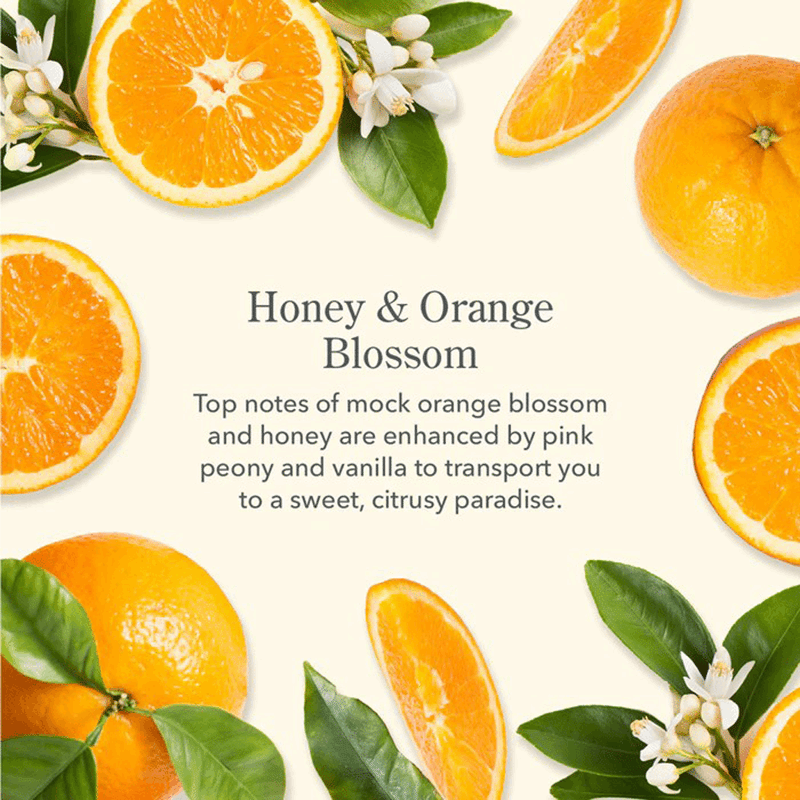 Honey & Orange Blossom Favorite Fragrance Set