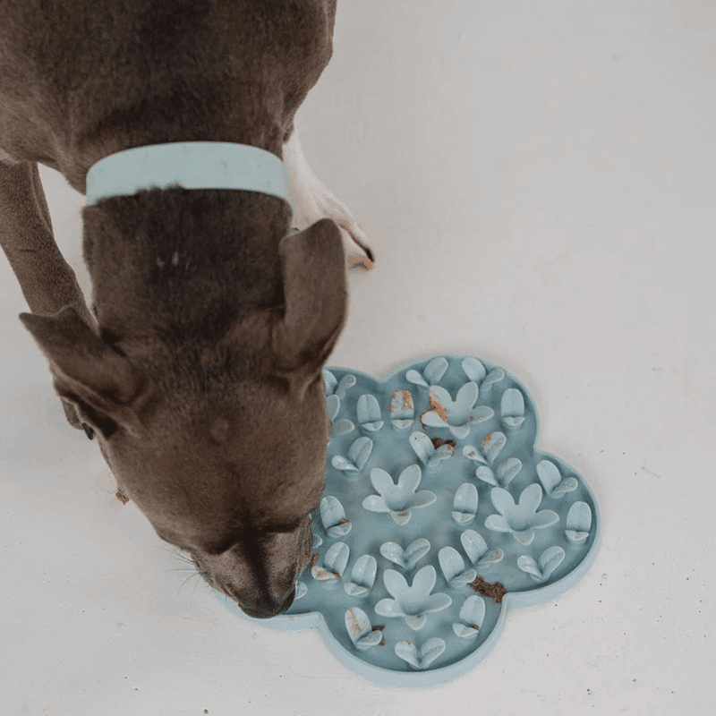 Sky Blue Flower Enrichment Snuffle Mat