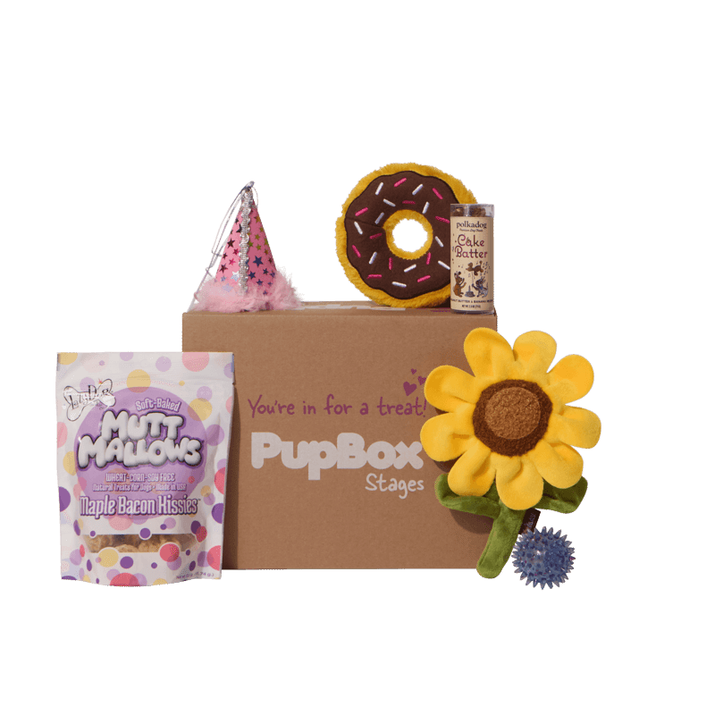 Picture of Birthday Girl Box - S/M
