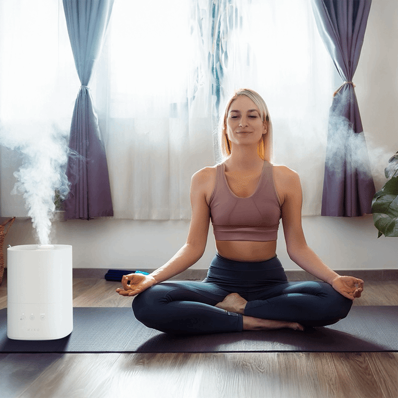 Breeze+ App Controlled Cool Mist Humidifier