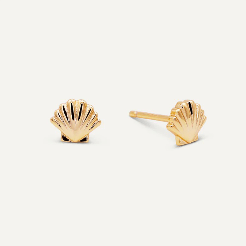 Seashell - Gold Earrings