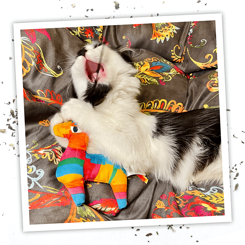 Get Smashed Llama Piñata Refillable Wand Cat Toy