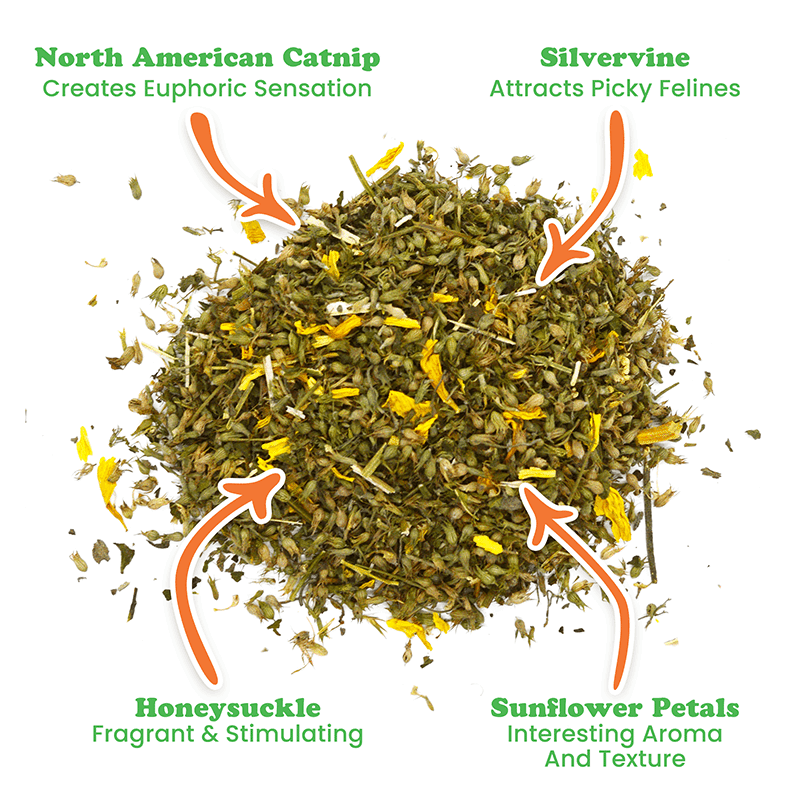 Sierra Sunshine Catnip Blend
