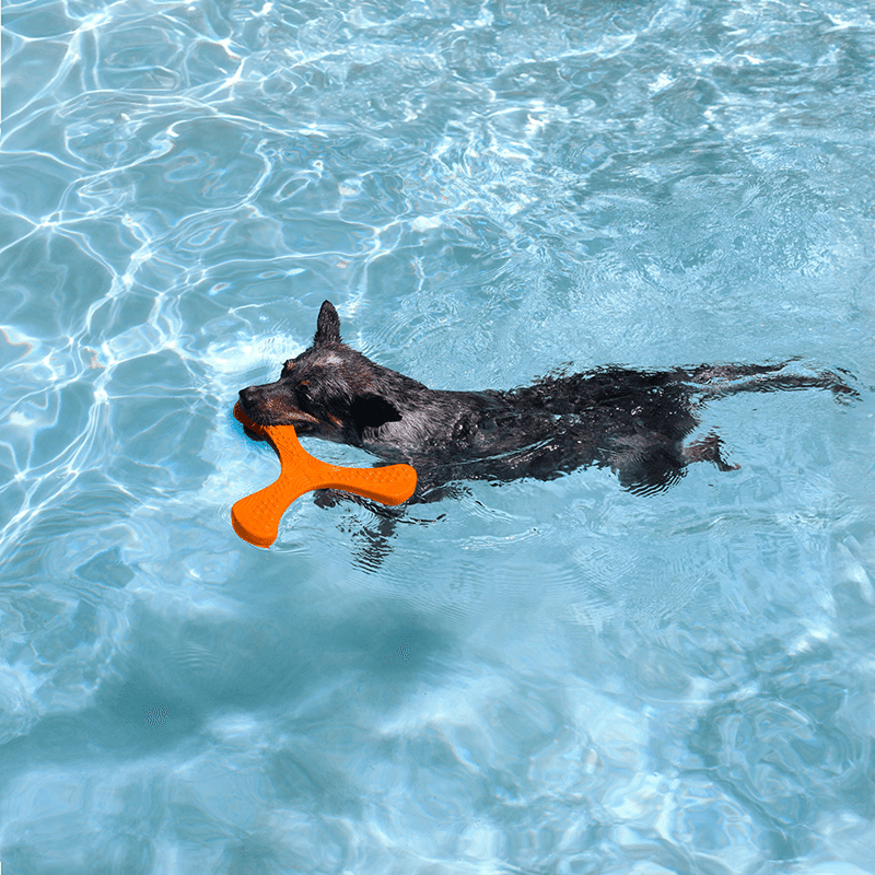 Propeller Regular Dog Toy