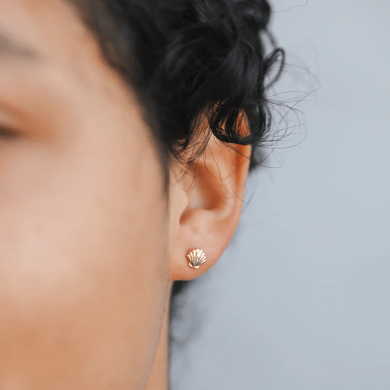 Seashell - Gold Earrings