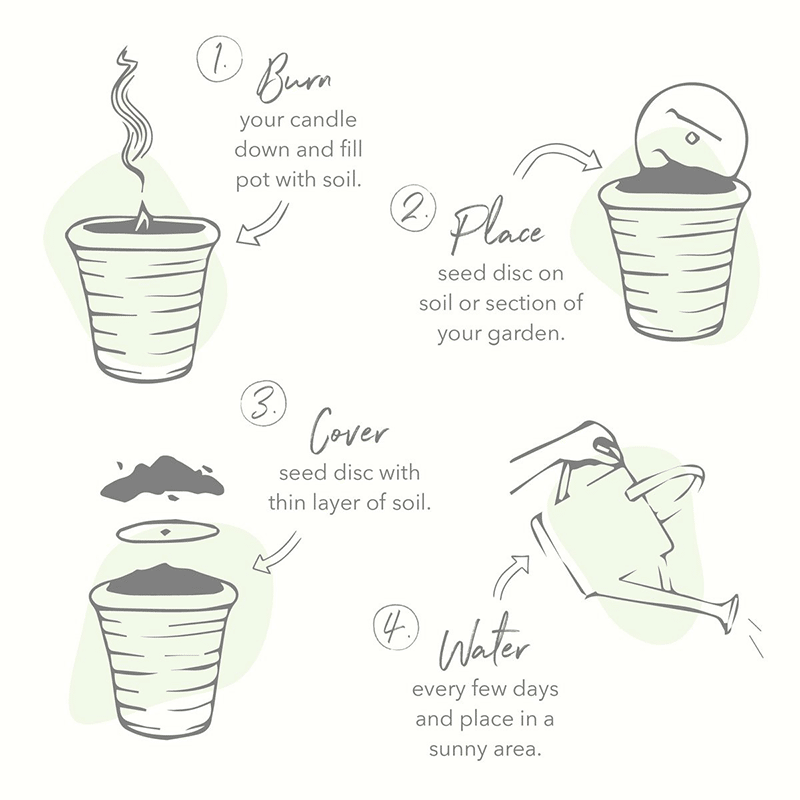 Window Garden Candle - Tomato Vne