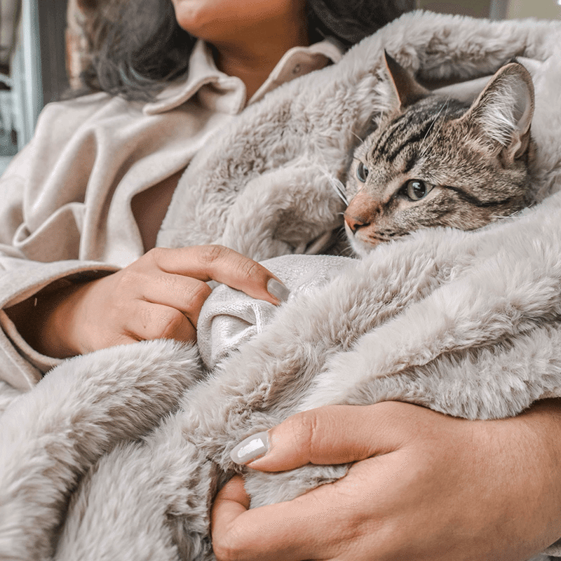 Pixie Leakproof Pet Throw