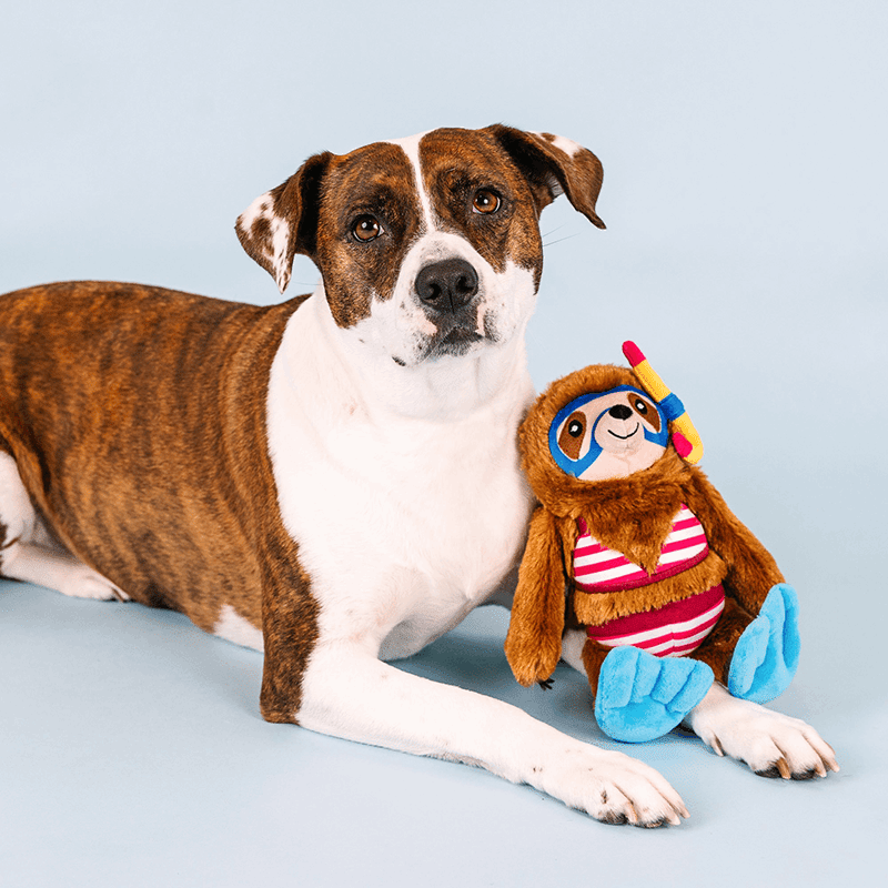 Swimmin' With The Fishies Plush Dog Toy