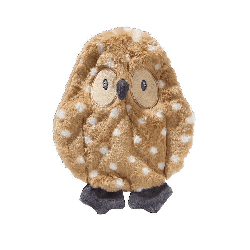 Owl Flattie