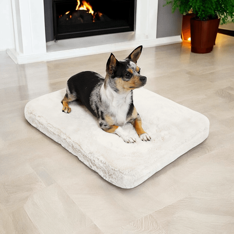 Pixie Pad Leak-Resistant Pet Bed