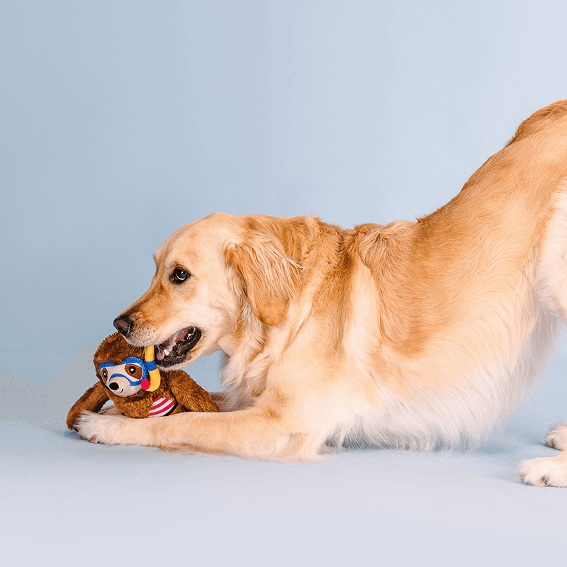 Swimmin' With The Fishies Plush Dog Toy