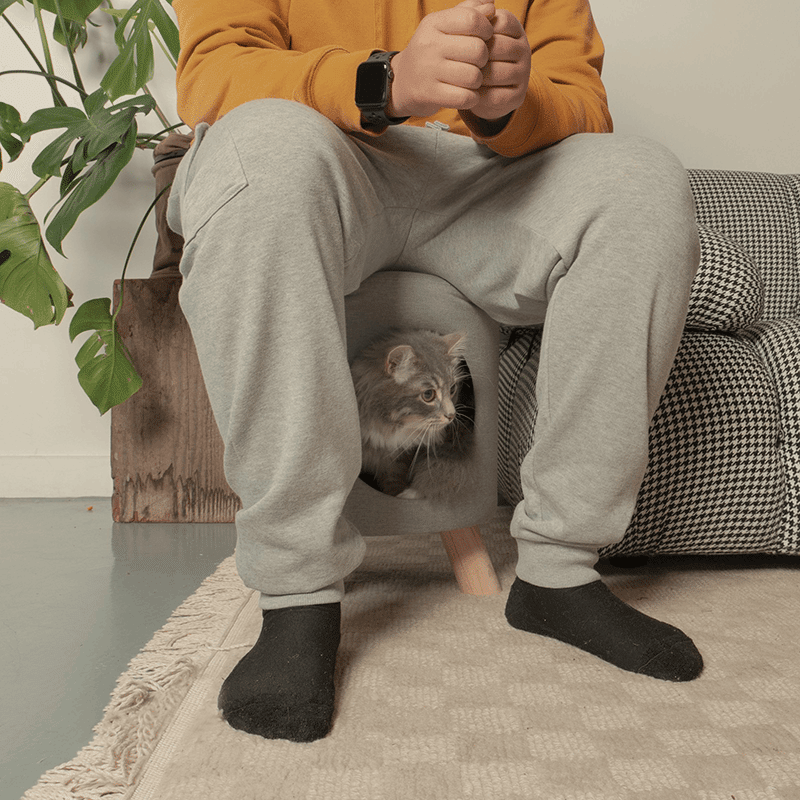 Wallie Pet Stool