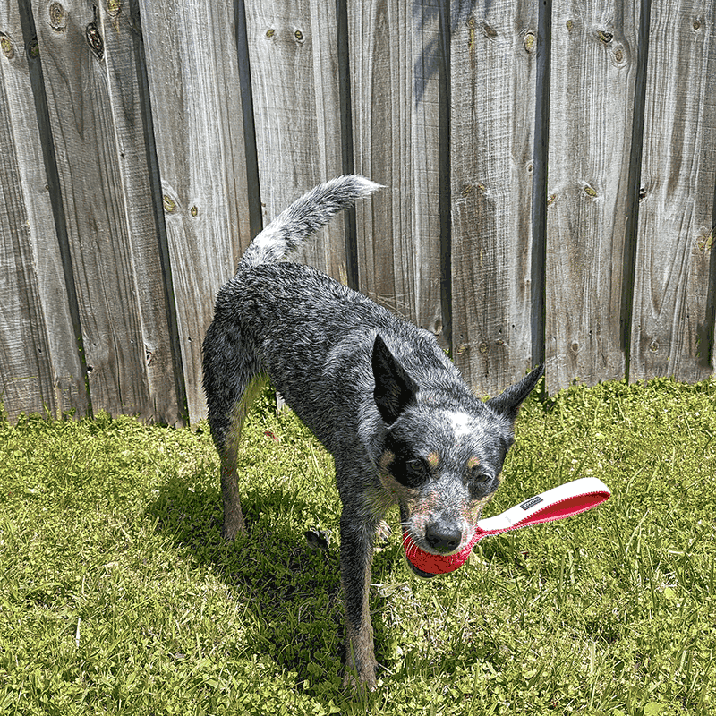 Handler Junior Dog Toy