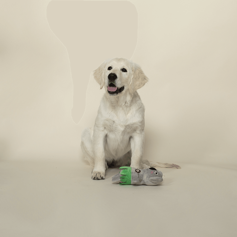 Shake Your Palm Palms Plush Dog Toy