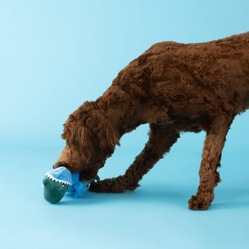 Feelin' Jawsome Plush Dog Toy