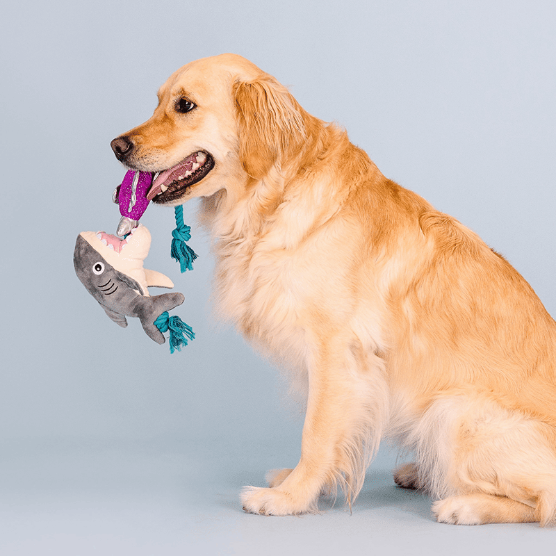 Shark Bait Plush Dog Toy