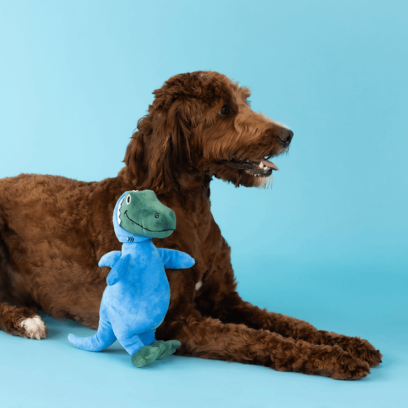 Feelin' Jawsome Plush Dog Toy