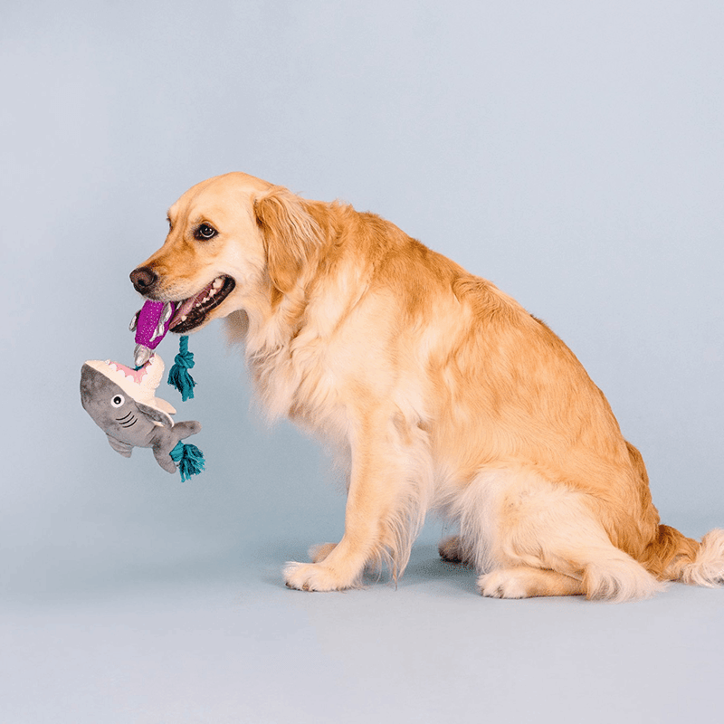 Shark Bait Plush Dog Toy