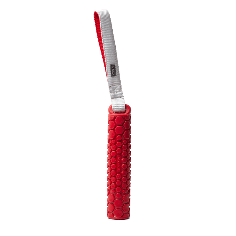 Bumper Regular Dog Toy