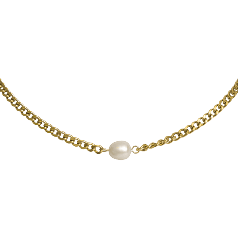 Stainless Steel Izzy Choker