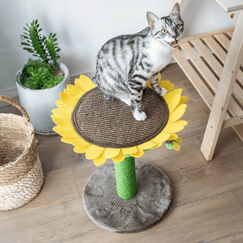 Yellow Sunflower Cat Scratching Post