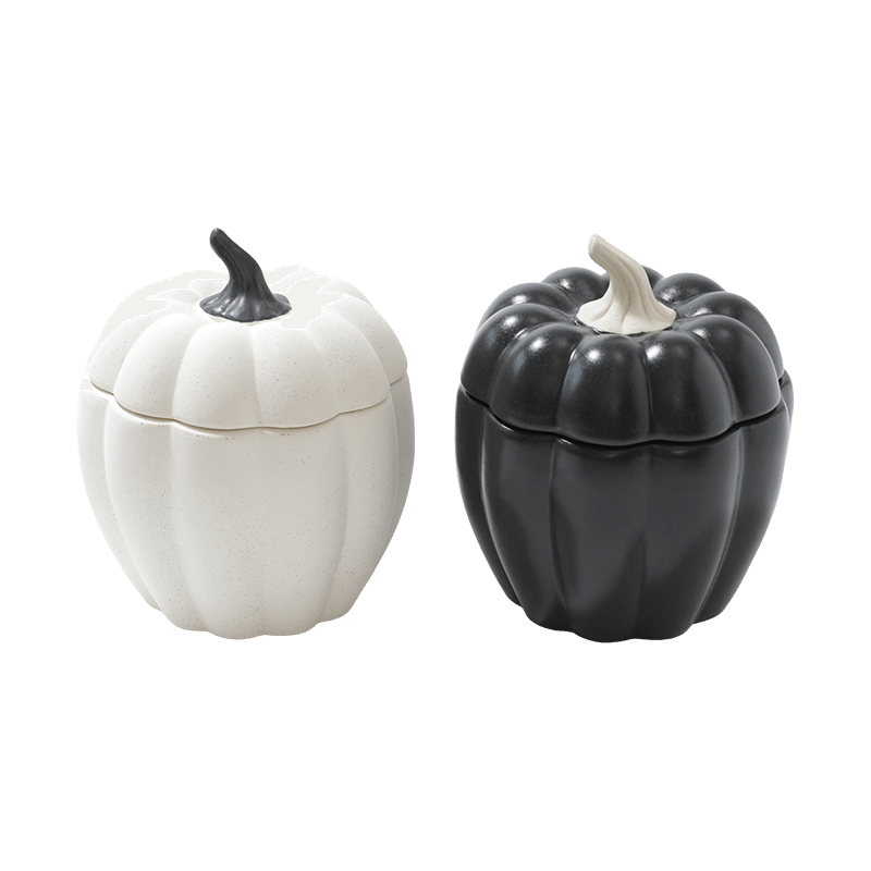 Elevated Pumpkin Decor - Set of 2