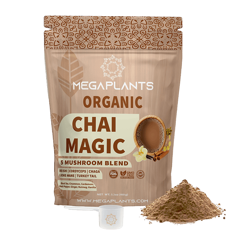 Organic Chai Magic