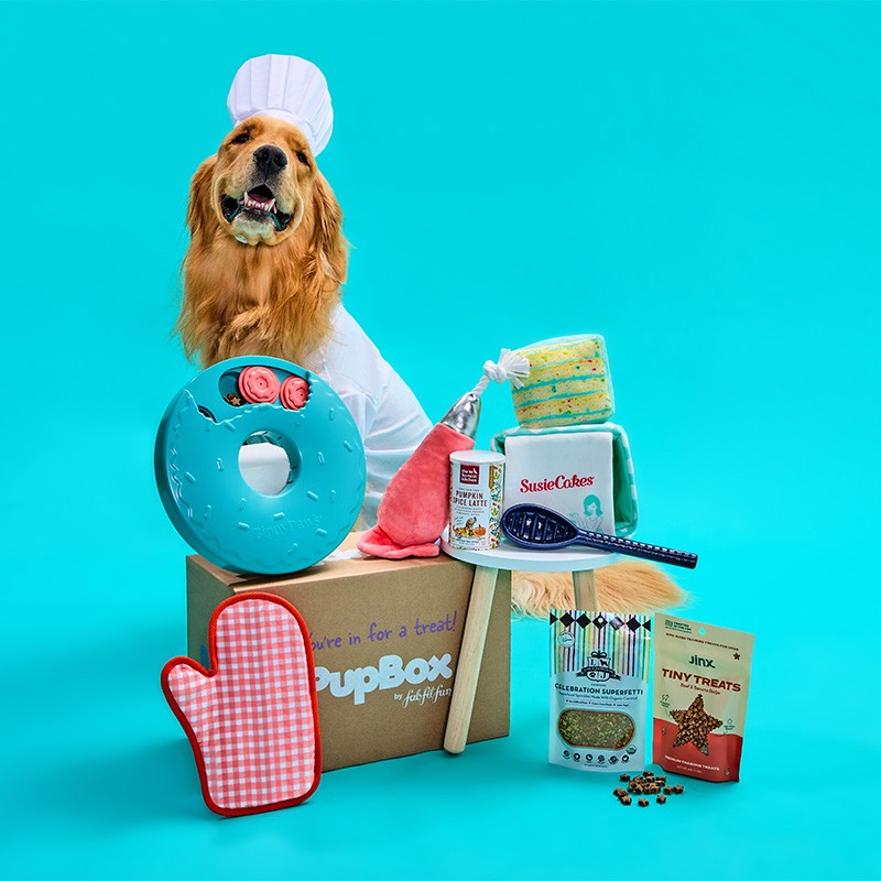 PupBox by FabFitFun (L/XL)