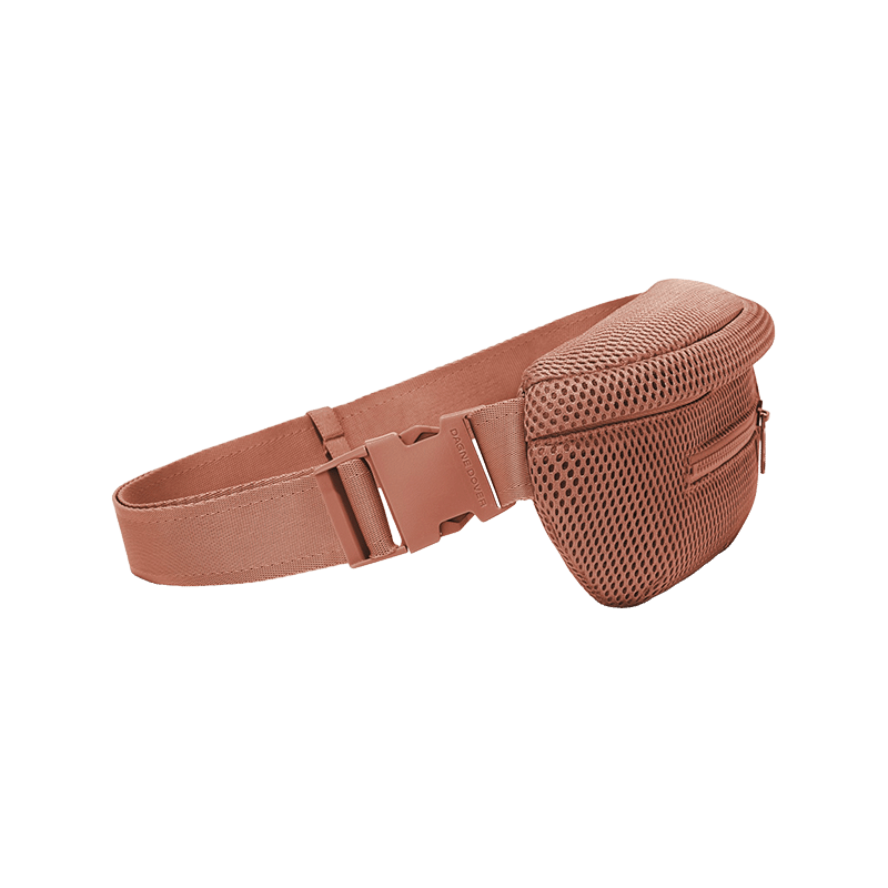 Ace Fanny Pack
