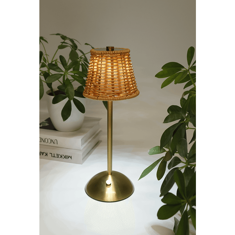 LED Lamp with Rattan Shade