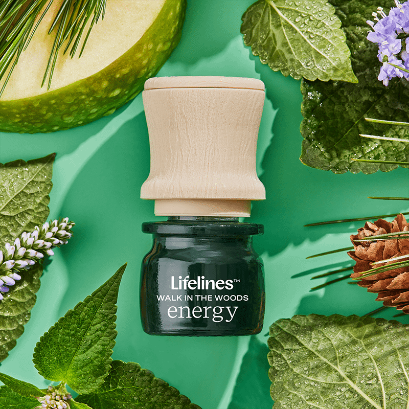 Everyday Diffuser Set