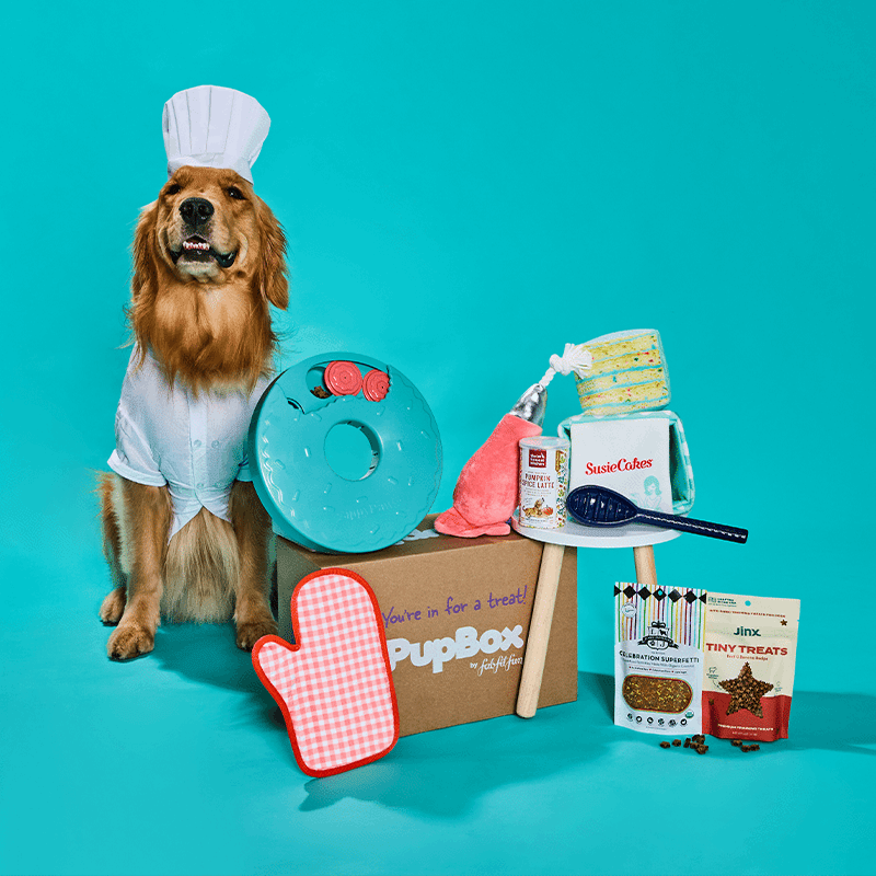 PupBox by FabFitFun (L/XL)