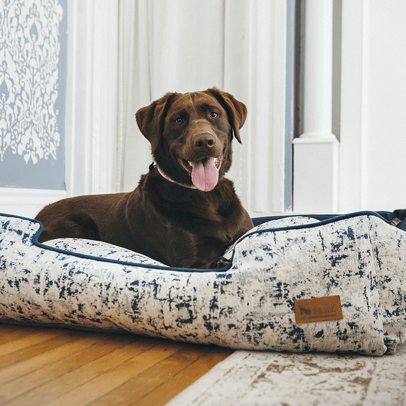 Celestial Lounge Dog Bed