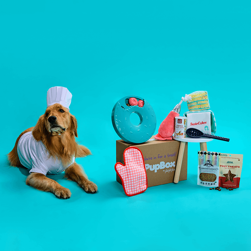 PupBox by FabFitFun (L/XL)