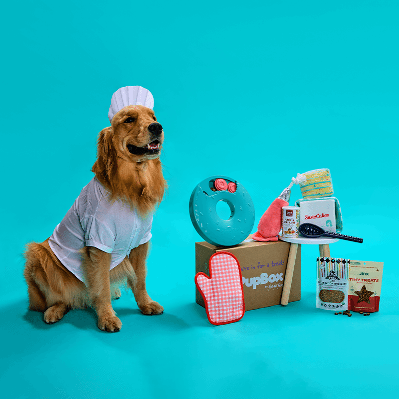 PupBox by FabFitFun (L/XL)