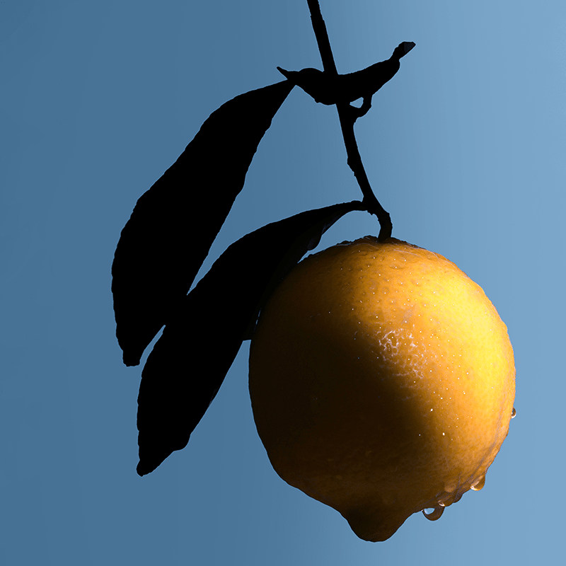 Beauty Fuel Box of Lemonade Electrolyte Sticks (40 ct)