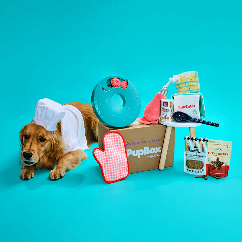PupBox by FabFitFun (L/XL)