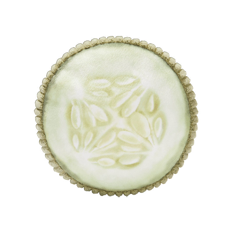 Cucumber Plush Dog Toy