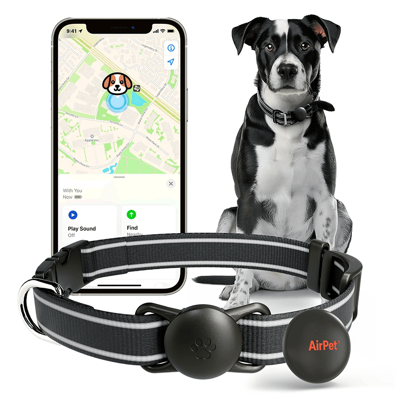 Locator Tag