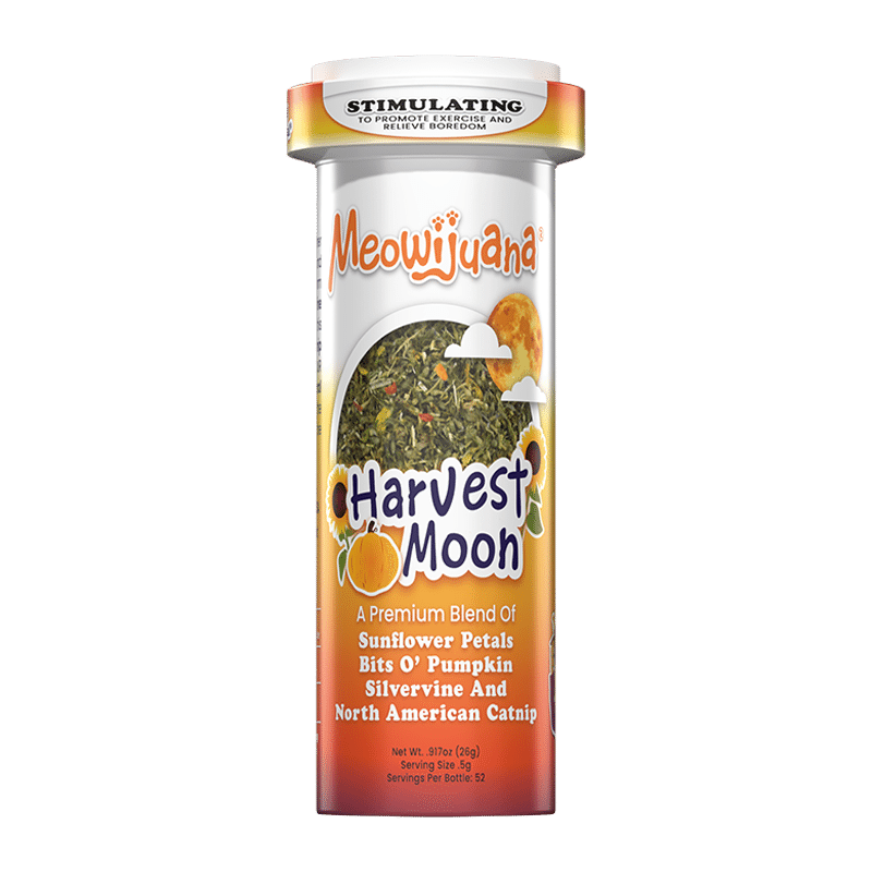 Harvest Moon Catnip