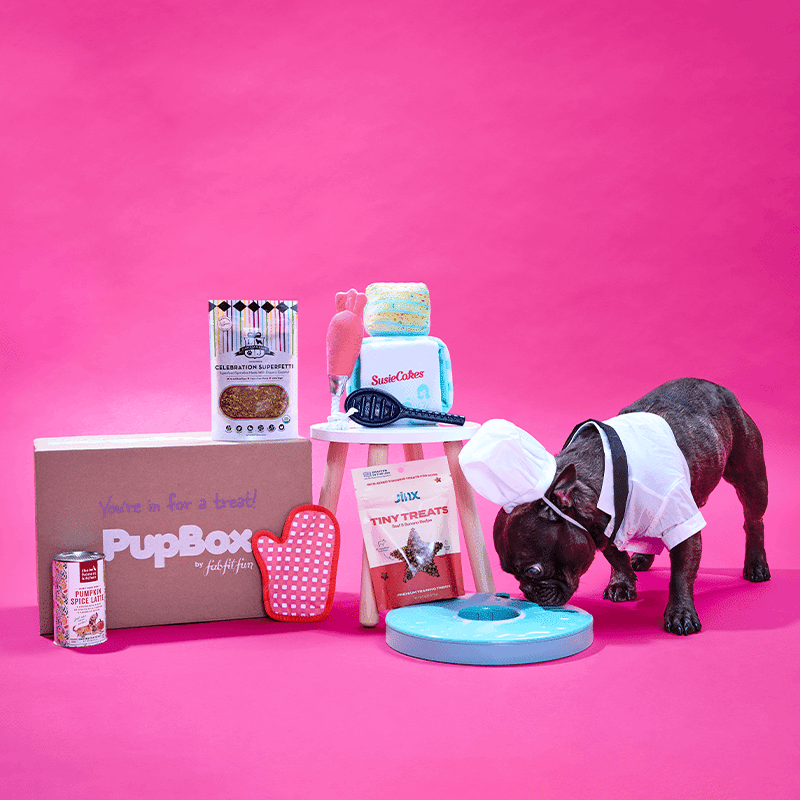 PupBox by FabFitFun (S/M)