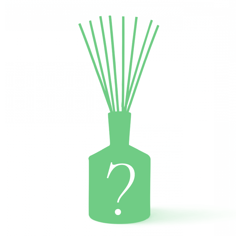 Surprise Reed Diffuser