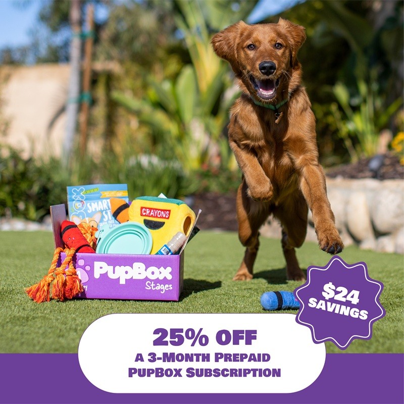 Digital Offer: PUPBOX 25% off a 3-Month Prepaid Subscription