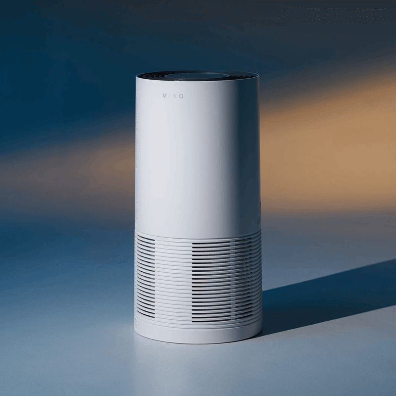 IBUKI L Large Room Air Purifier
